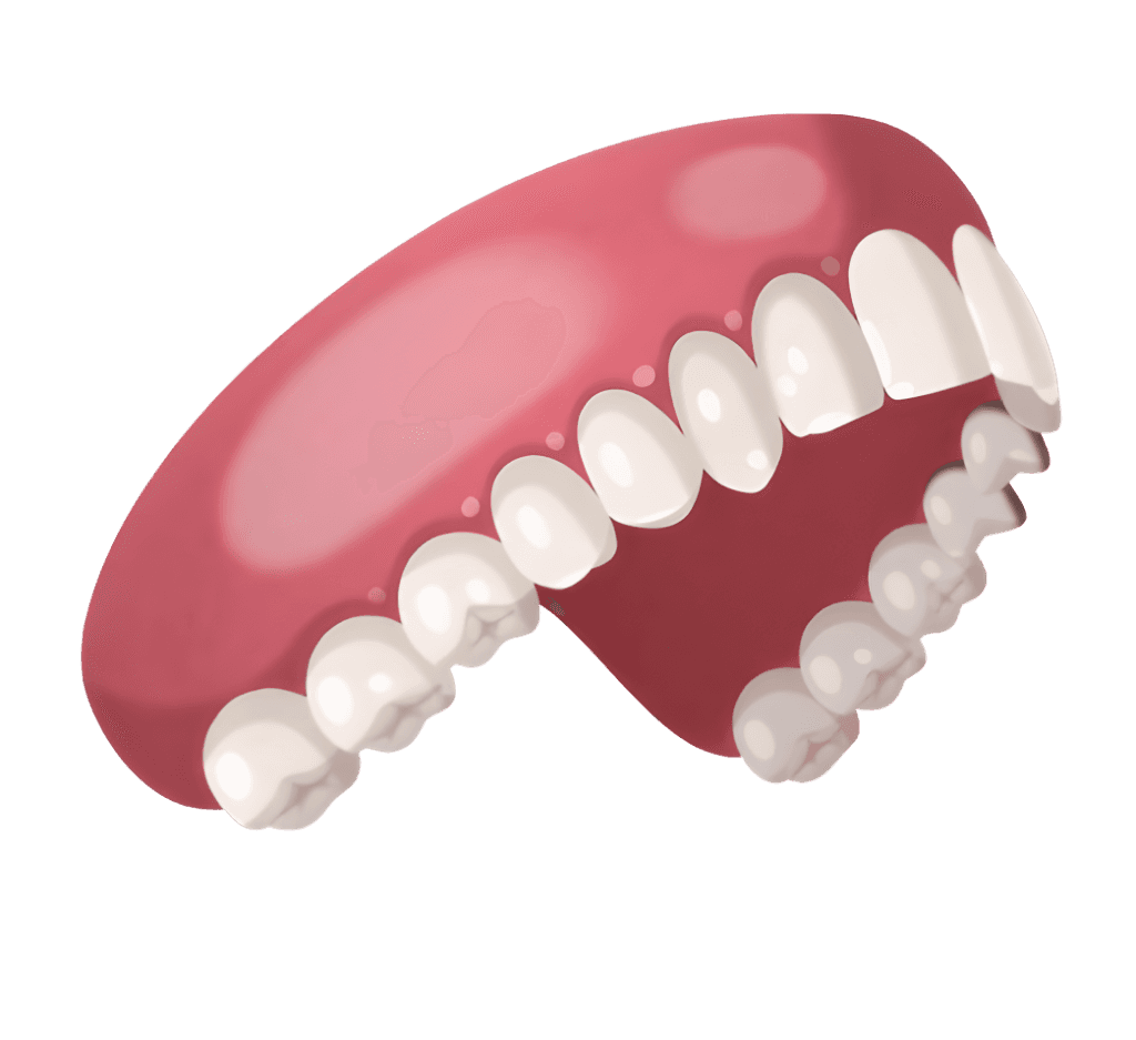 Dental model